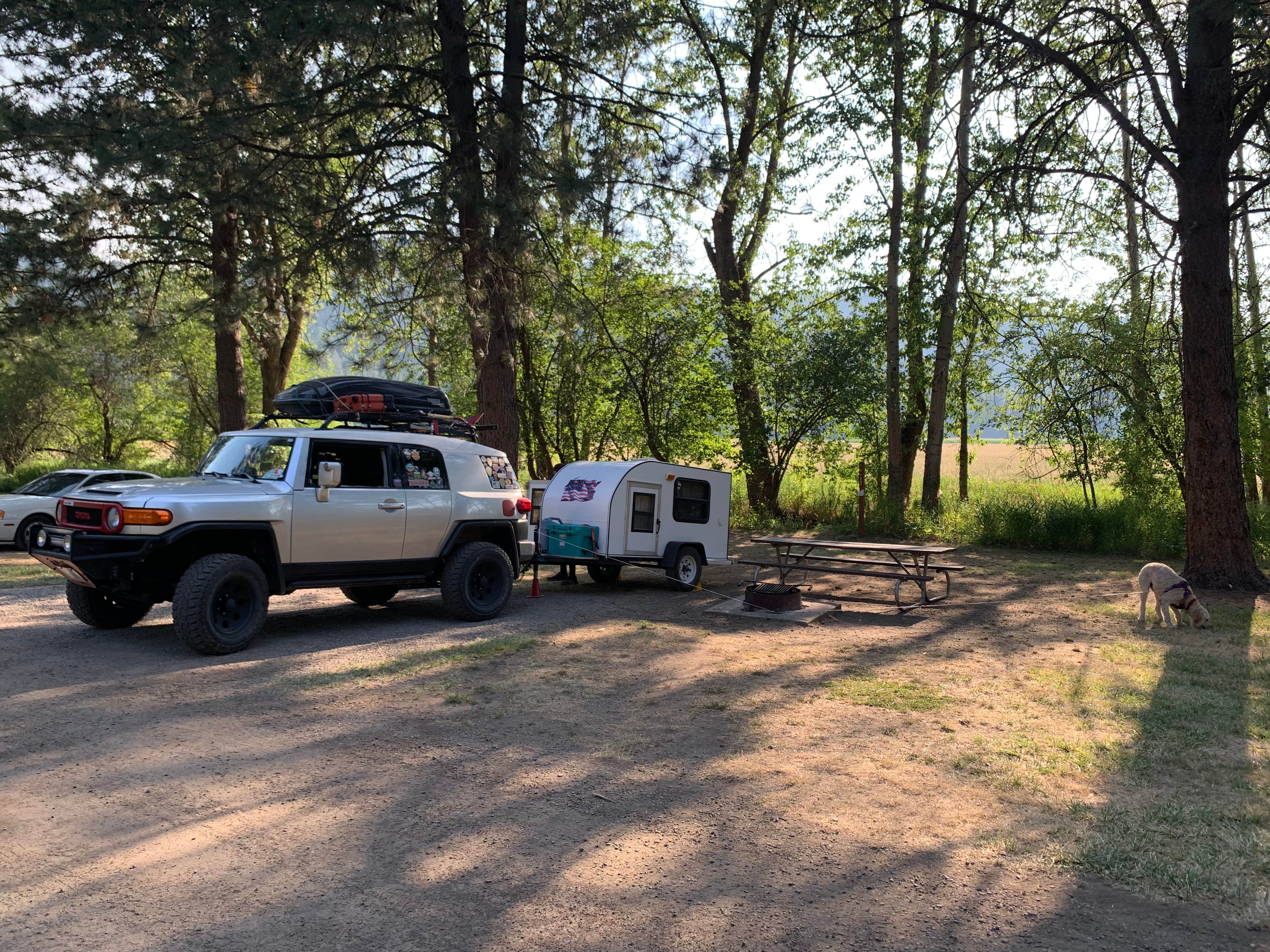 Riley F.'s photo of camping with pets at Liberty Lake Regional Park near Newman Lake, WA