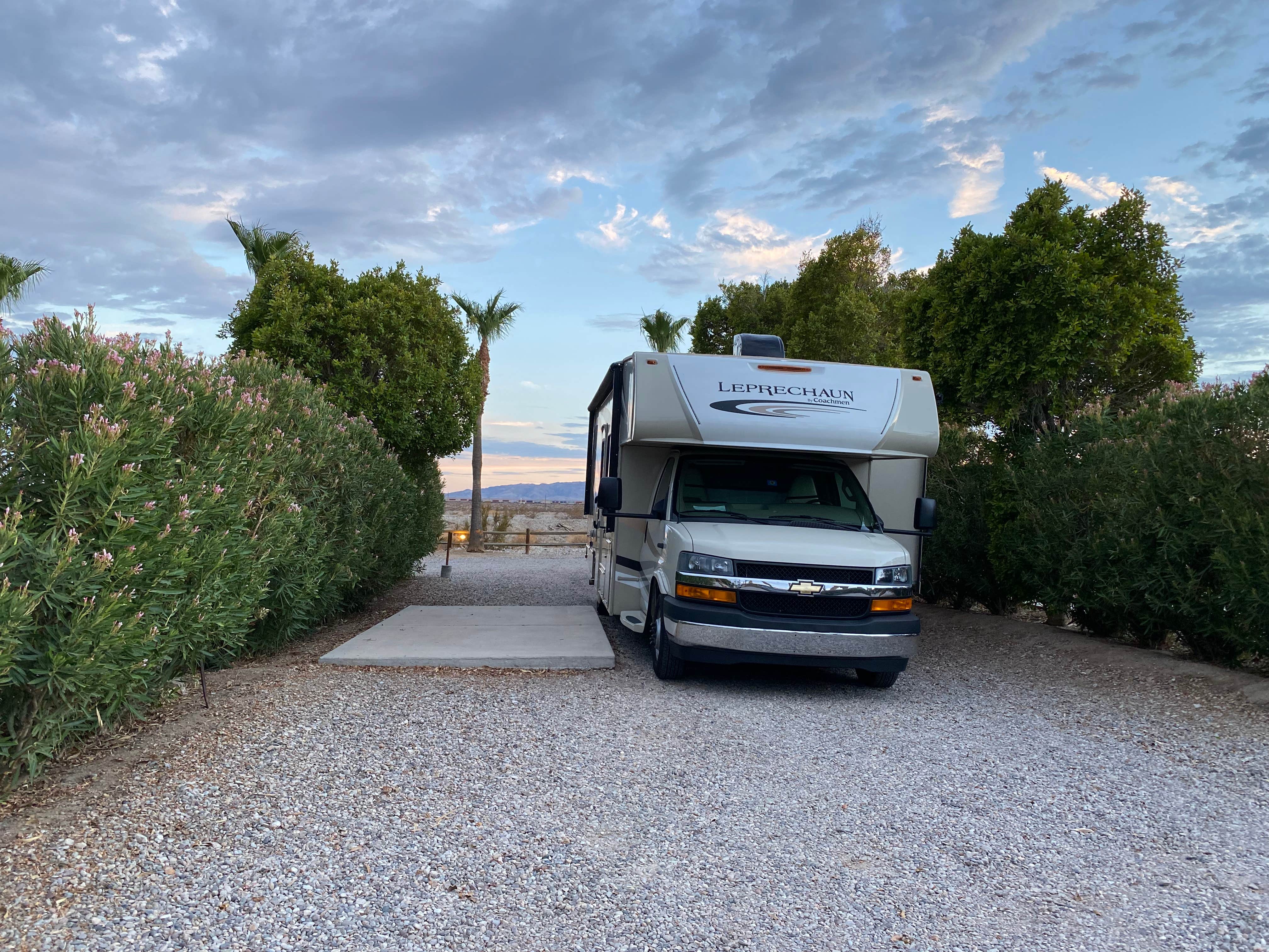 Best dispersed camping in Mojave National Preserve The Dyrt