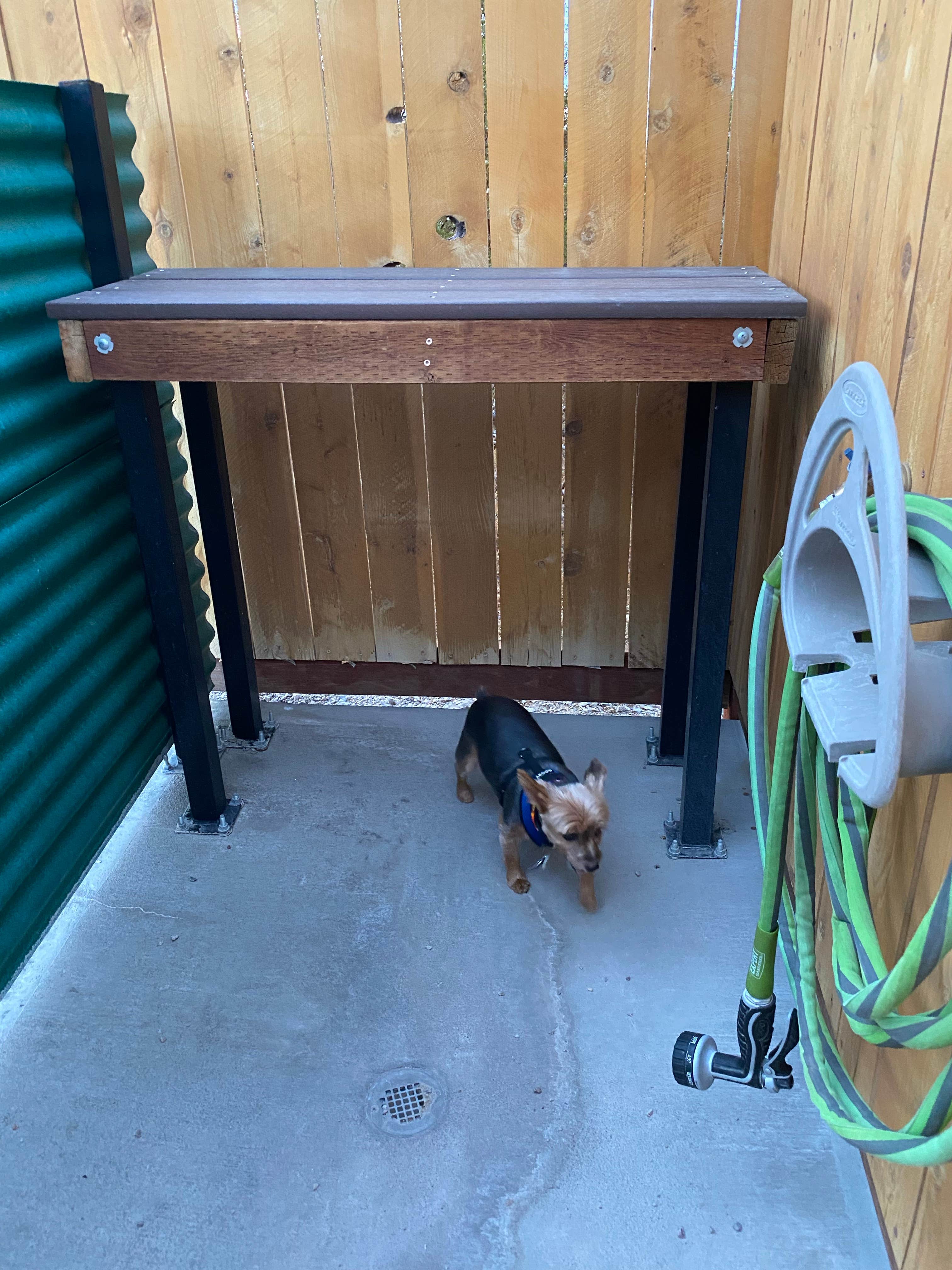Tammie L.'s photo of camping with pets at Desert View RV Resort near Mohave Valley, AZ