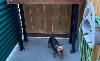 Tammie L.'s photo of camping with pets at Desert View RV Resort near Laughlin, NV