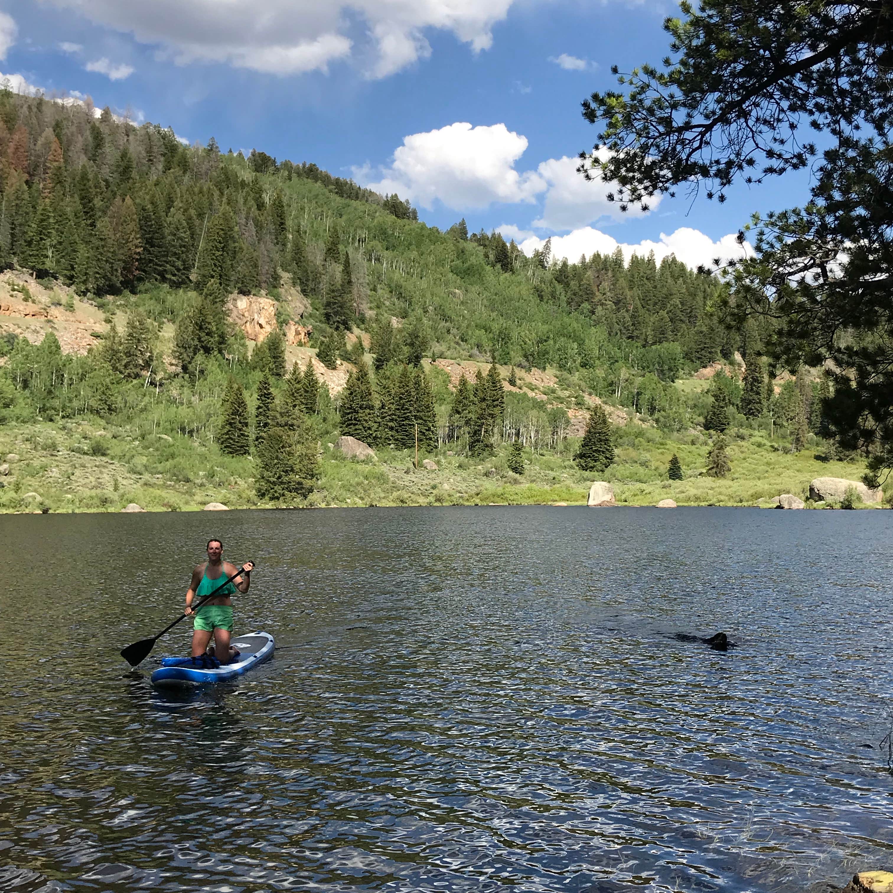 Escape to the Mountains: Your Guide to Colorado's Chapman Campground