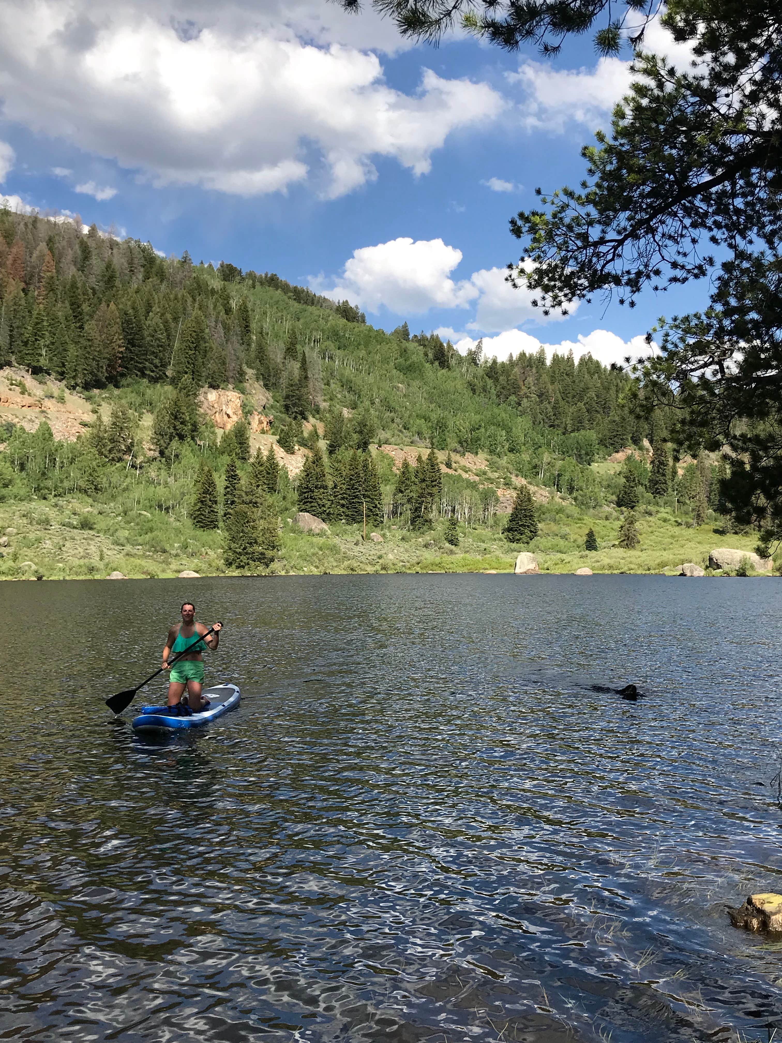 Camper submitted image from Chapman Reservoir - 4