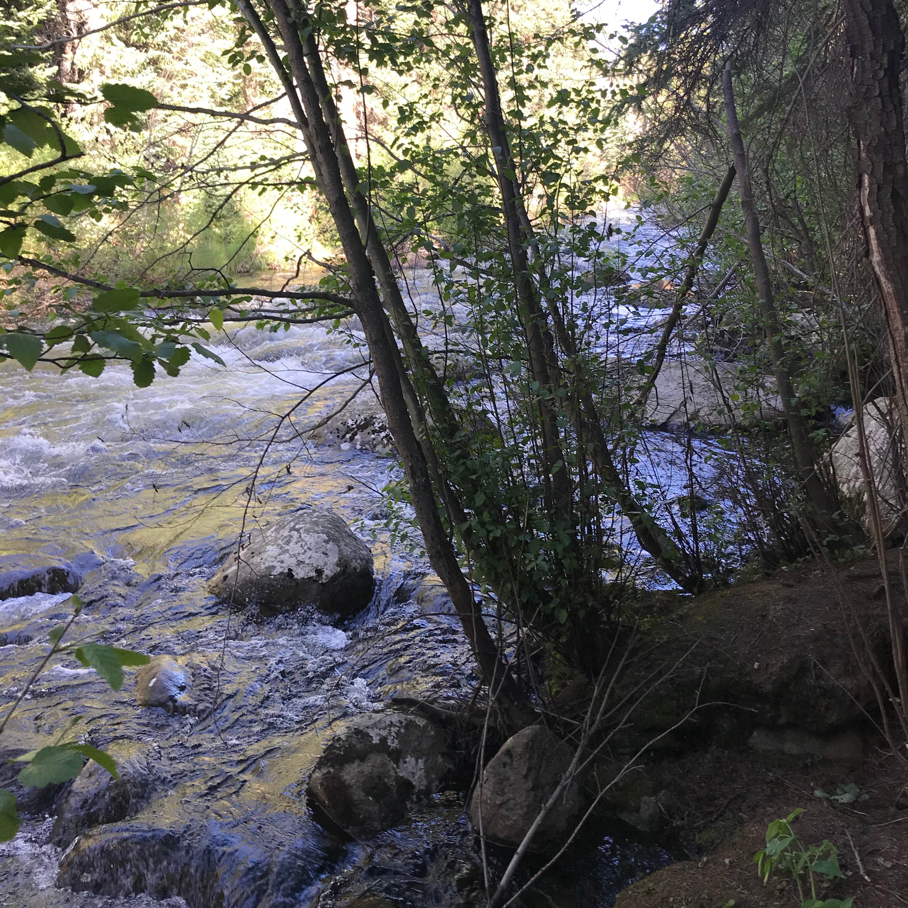Chapman Reservoir Camping The Dyrt