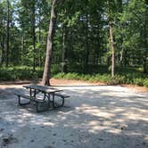 Review photo of Bass River State Forest by KENNETH , July 19, 2021