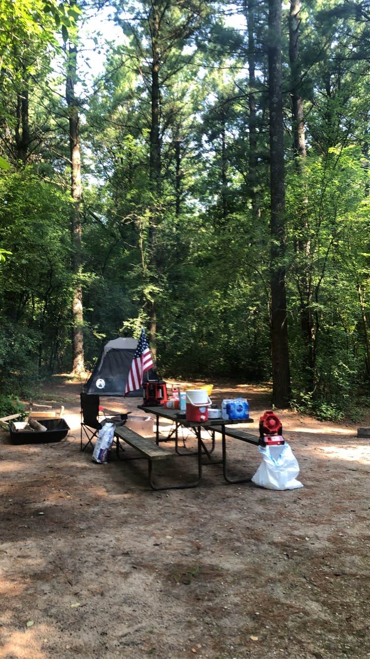 Pinewoods Campground The Dyrt