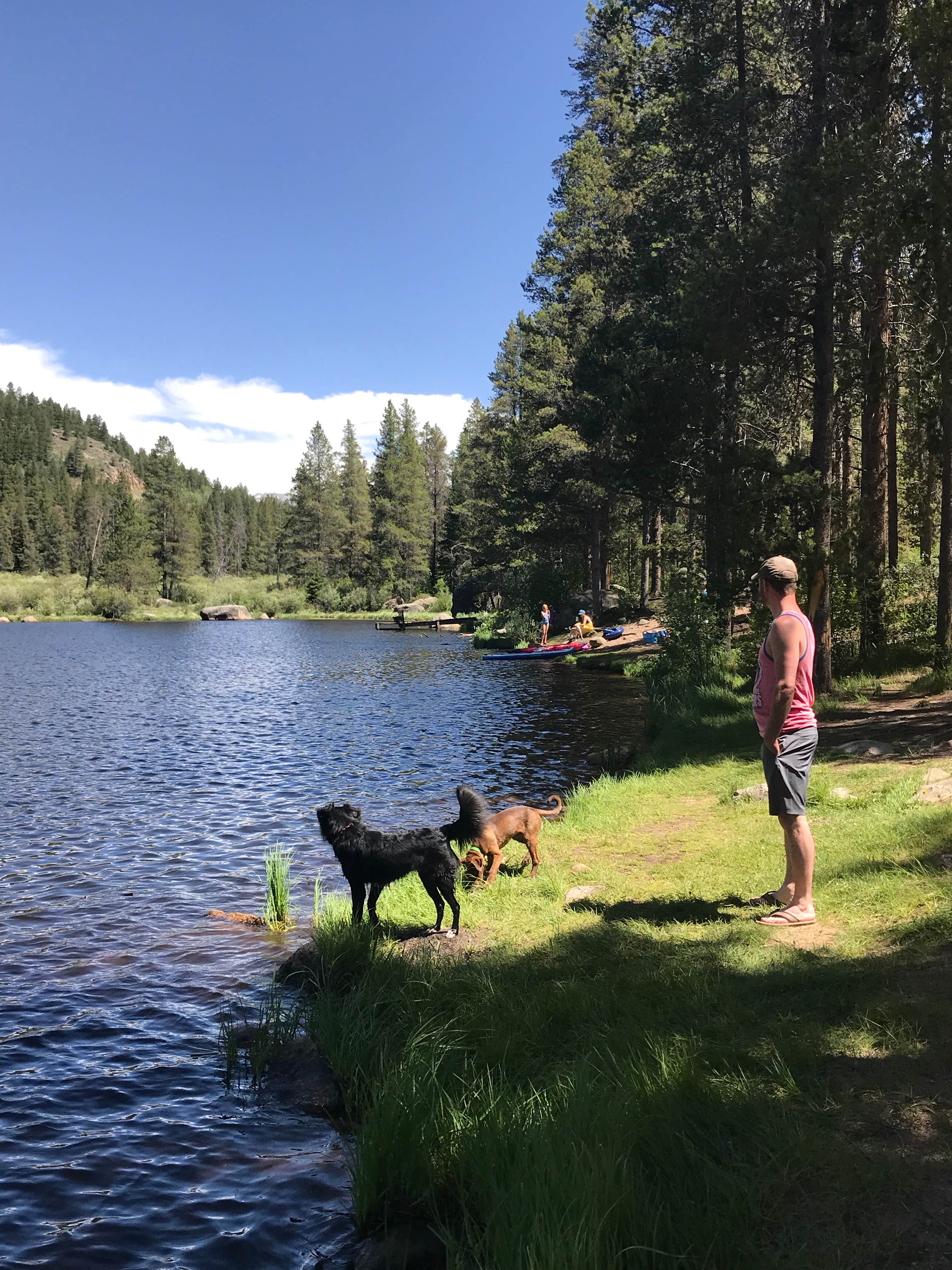 Camper submitted image from Chapman Reservoir - 4