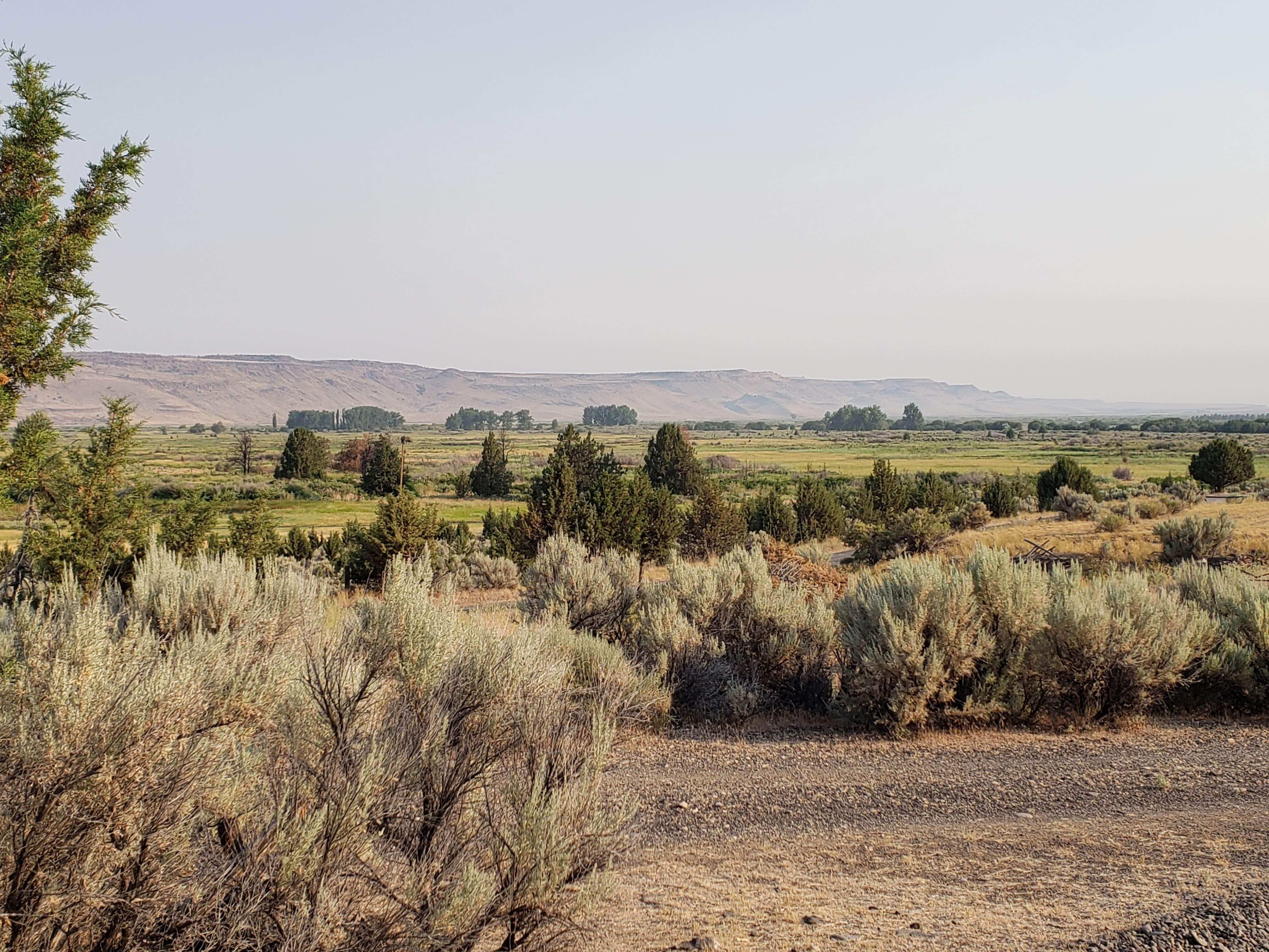 Camper submitted image from Steens Mountain Wilderness Resort - 2