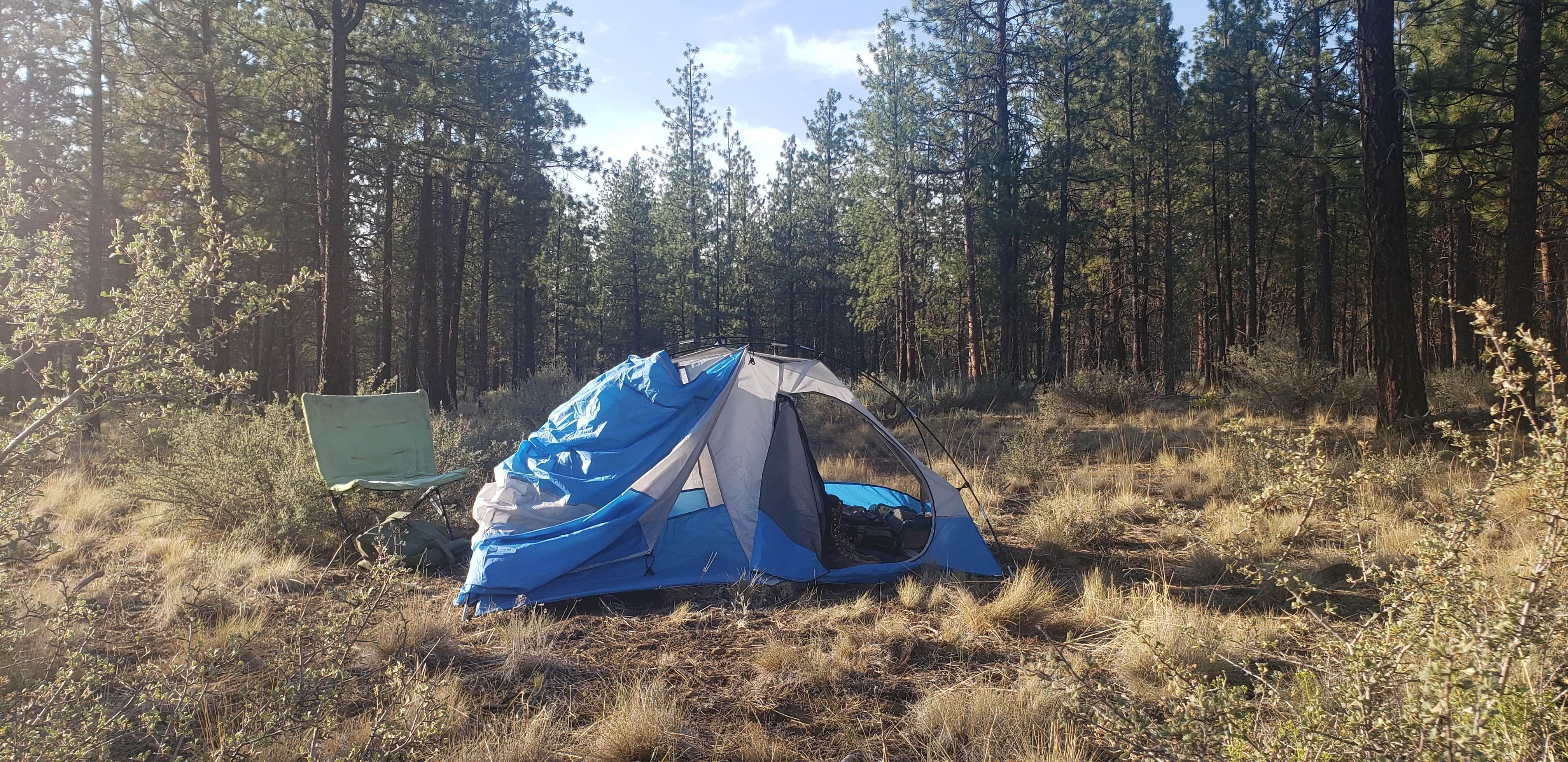 Benjamin's photo of a dispersed camping area at Sisters, Oregon - Dispersed Camping near Culver, OR