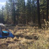 Review photo of Sisters, Oregon - Dispersed Camping by Benjamin , July 19, 2021
