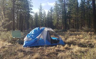 Benjamin's photo of a dispersed camping area at Sisters, Oregon - Dispersed Camping near Camp Sherman, OR