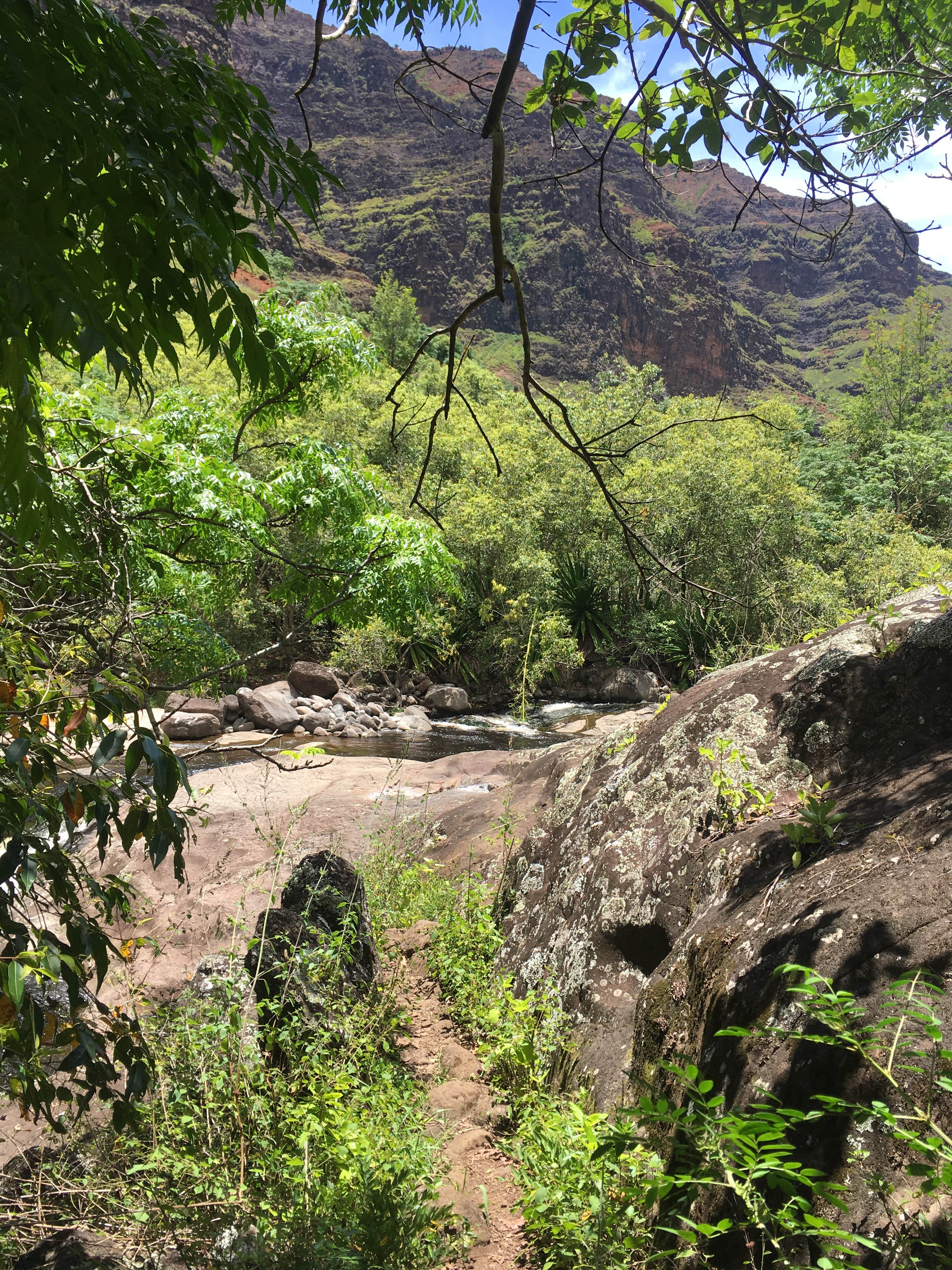 Camper-submitted photo at Lonomea Shelter and Camp near Kapa‘a, HI