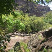 Review photo of Lonomea Shelter by Shannon W., June 15, 2018