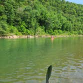 Review photo of South Maumee Camping Area — Buffalo National River by Jason W., July 19, 2021