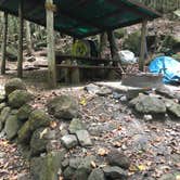 Review photo of Lonomea Shelter by Shannon W., June 15, 2018