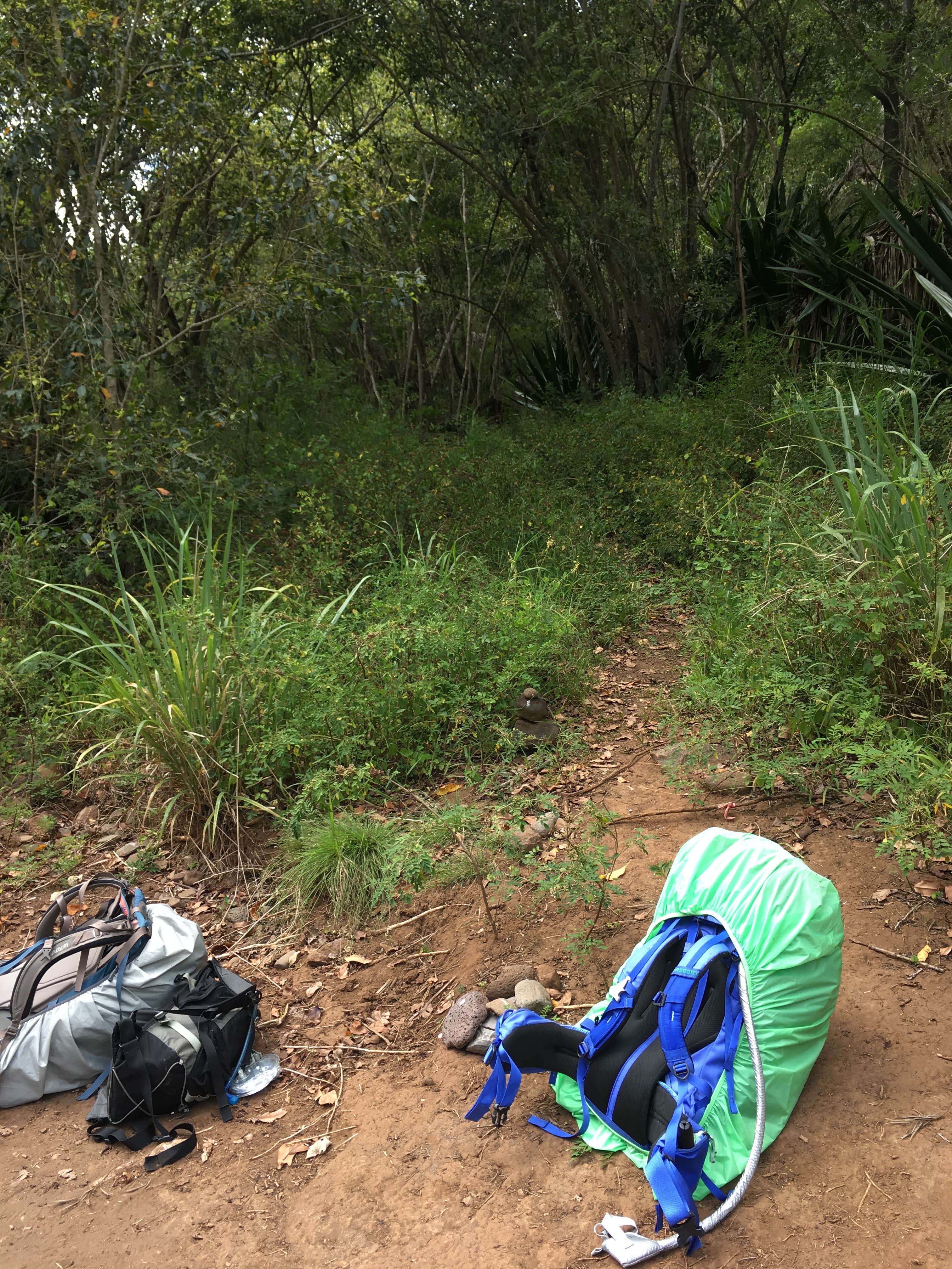 Camper-submitted photo at Lonomea Shelter and Camp near Kapa‘a, HI