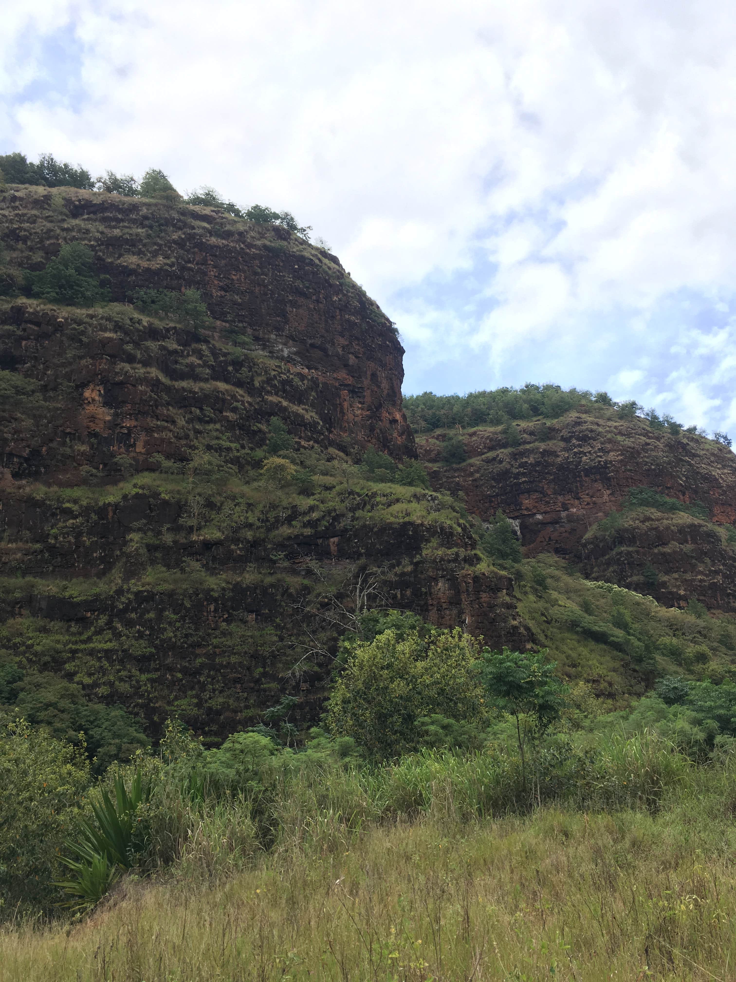 Camper-submitted photo at Lonomea Shelter and Camp near Kapa‘a, HI