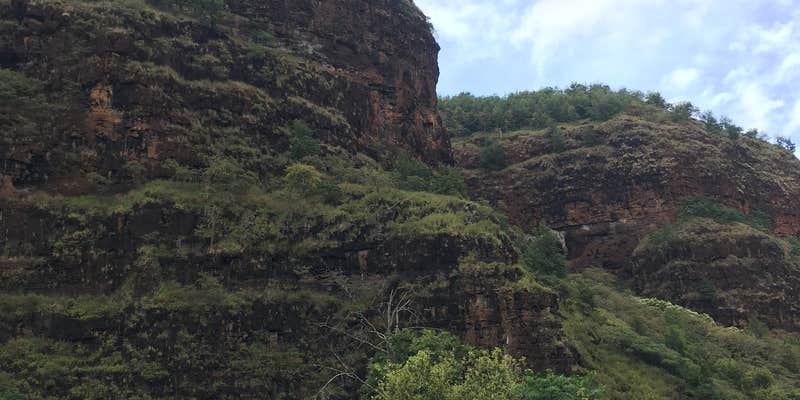 Camper submitted image from Lonomea Shelter and Camp