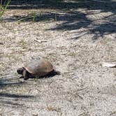 Review photo of Long Point Park Campground by Jason F., July 19, 2021