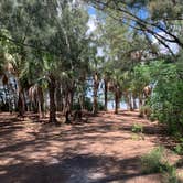 Review photo of Long Point Park Campground by Jason F., July 19, 2021