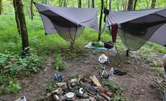 Sarah R.'s photo of tent camping at Charles C. Deam Wilderness in Indiana