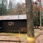 Review photo of Cook Forest State Park Campground by Lara L., June 15, 2018