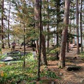 Review photo of Voyageurs National Park Backcountry Camping — Voyageurs National Park by Samantha , July 19, 2021