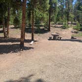 Review photo of San Isabel National Forest Baby Doe Campground by Craig R., July 19, 2021