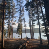 Review photo of San Isabel National Forest Baby Doe Campground by Craig R., July 19, 2021