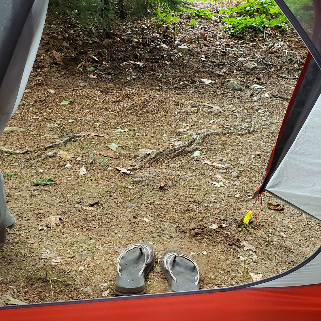 Gunstock Mountain Resort Camping The Dyrt