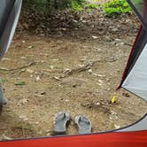 Review photo of Gunstock Campground by Melissa B., July 19, 2021