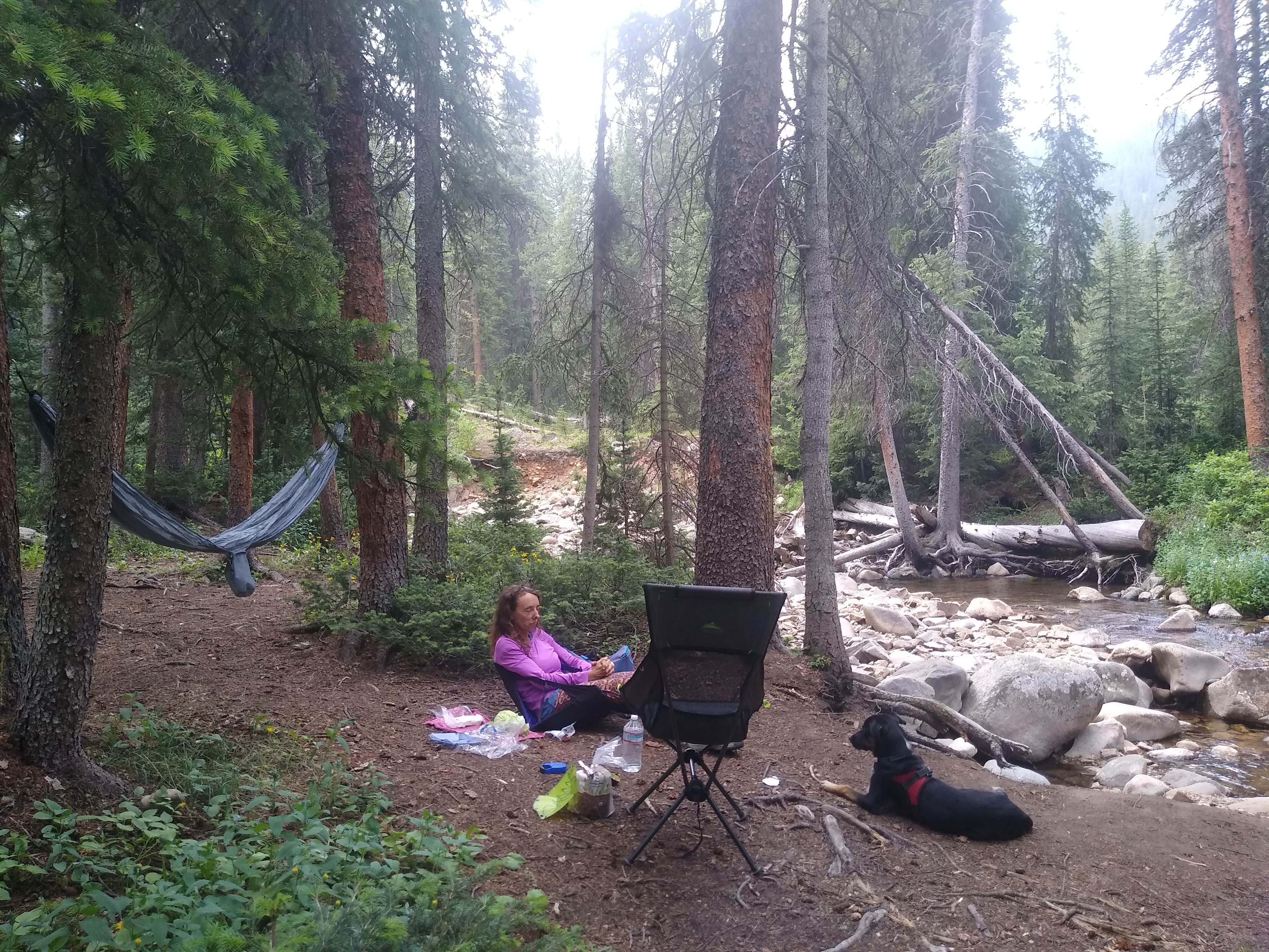 Camper-submitted photo at Lost Man Campground near Granite, CO