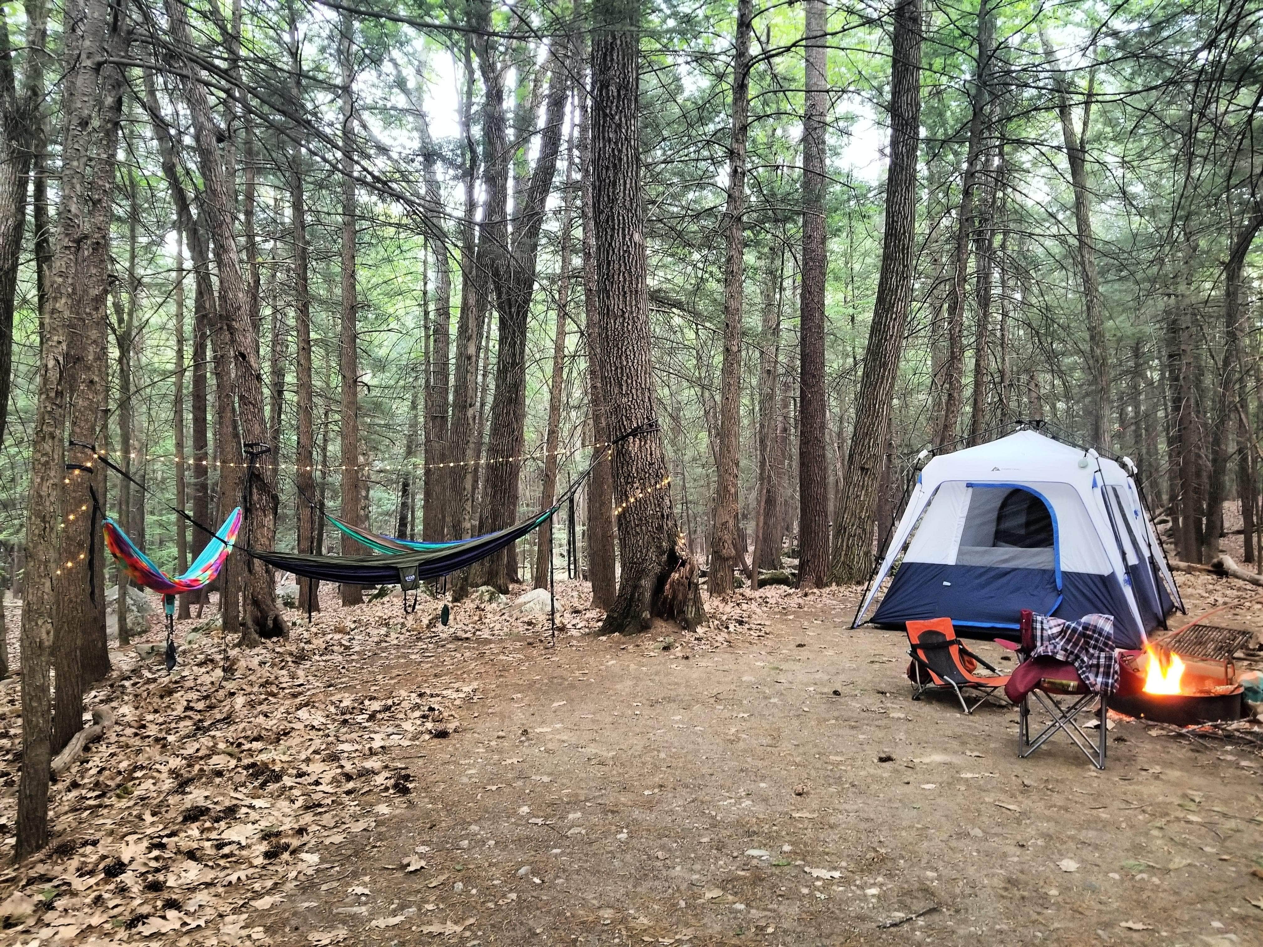 Best dispersed camping in New Hampshire The Dyrt