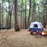 Review photo of Pawtuckaway State Park Campground by Melissa B., July 19, 2021