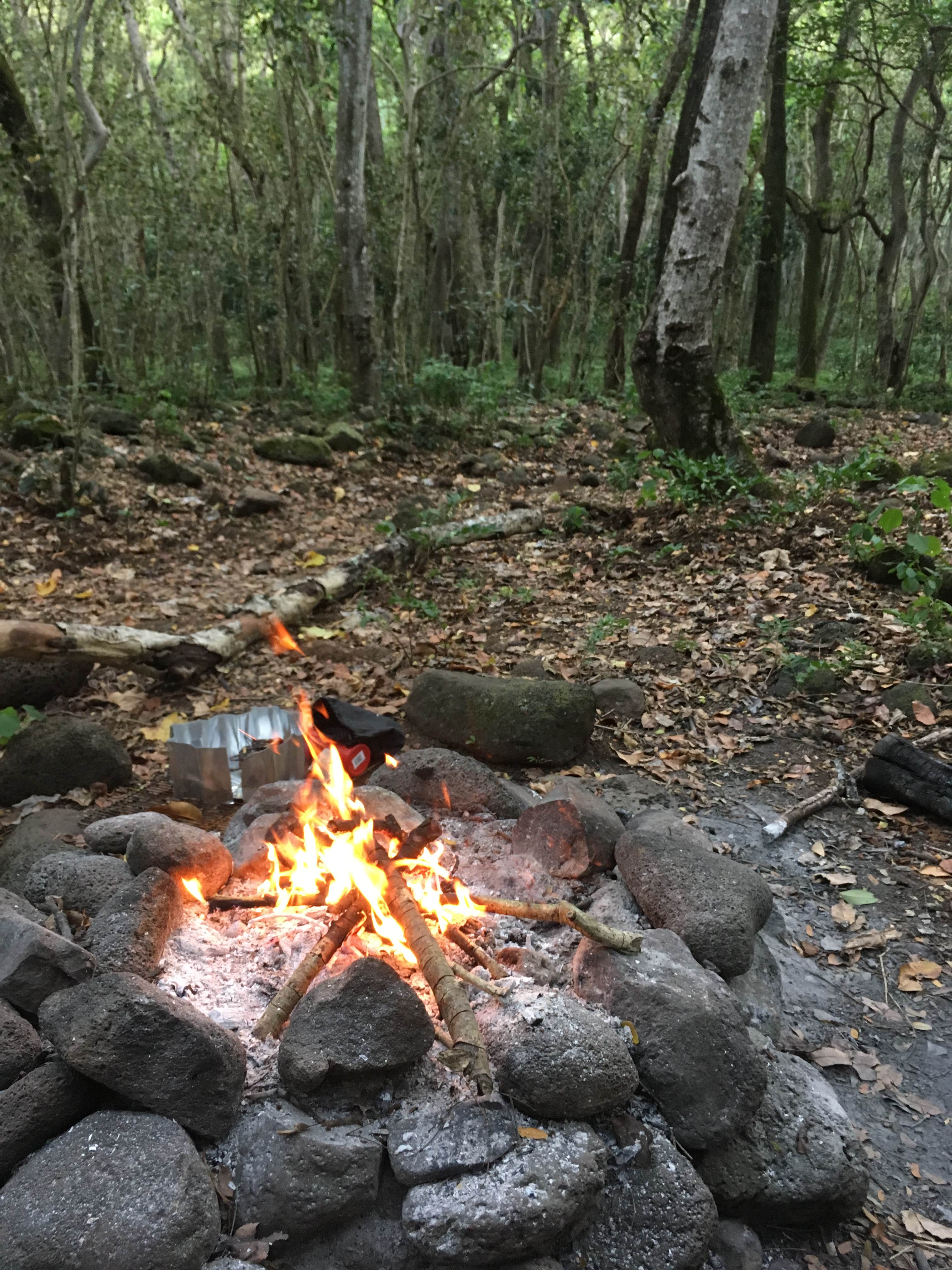 Shannon W.'s photo at Wiliwili Camp in Hawaii