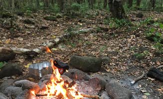 Shannon W.'s photo at Wiliwili Camp near Kapa‘a, HI