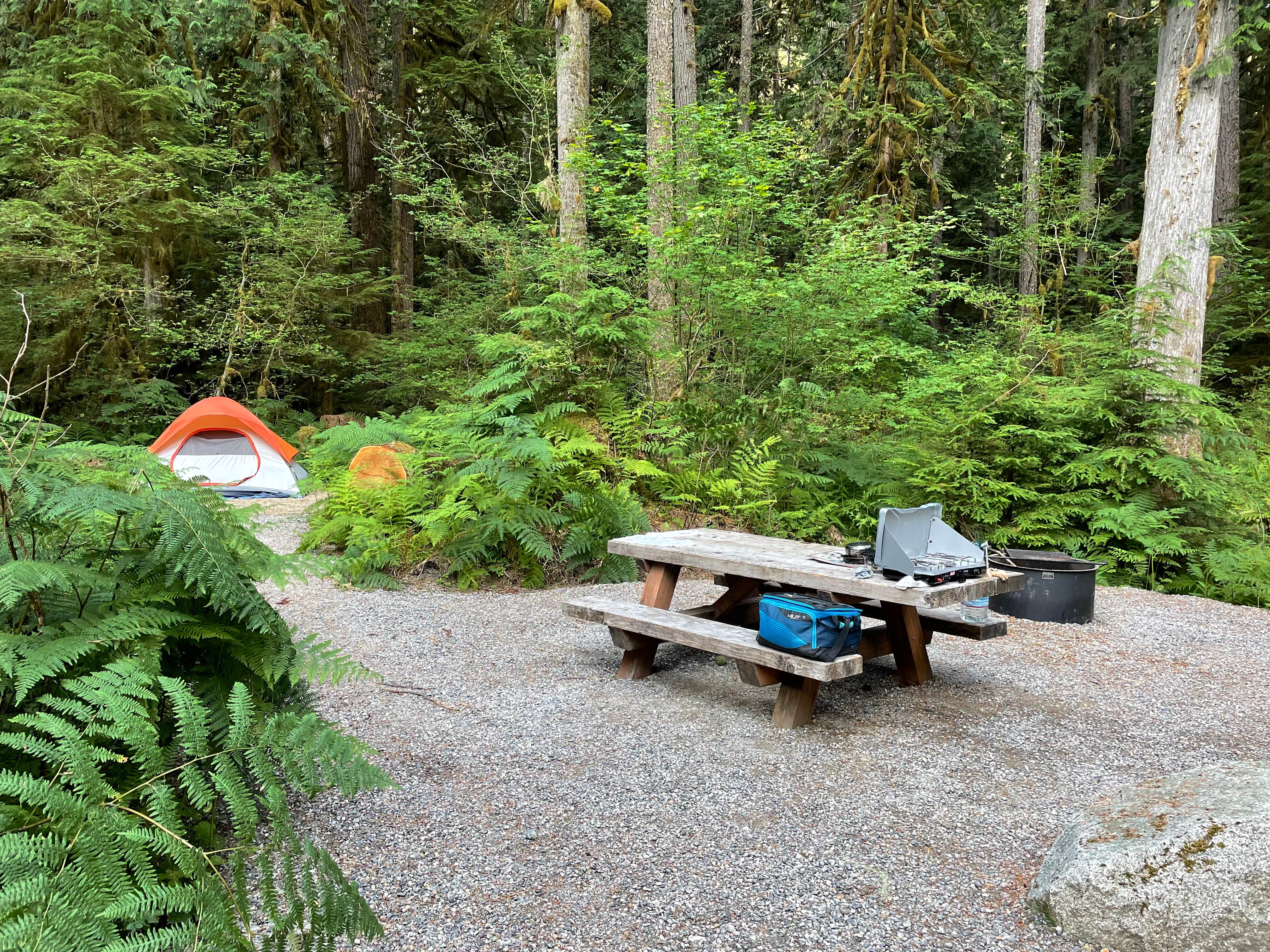 Bobby B.'s photo at Marble Creek Campground near Marblemount, WA