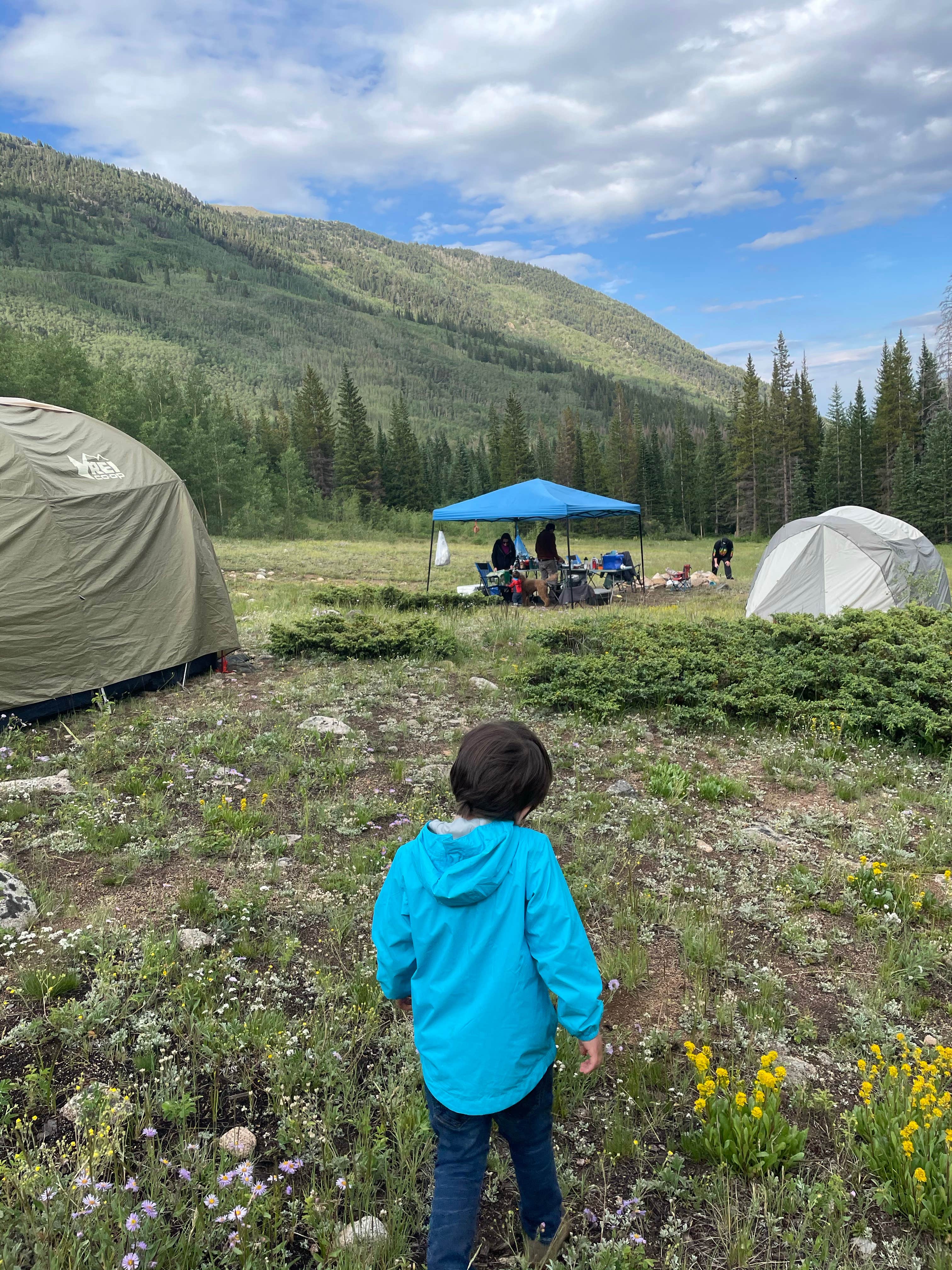 Camper-submitted photo at Cottonwood Lake Campground near Collbran, CO