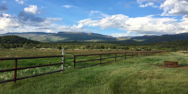 Camper submitted image from Road to the Sun Ranch