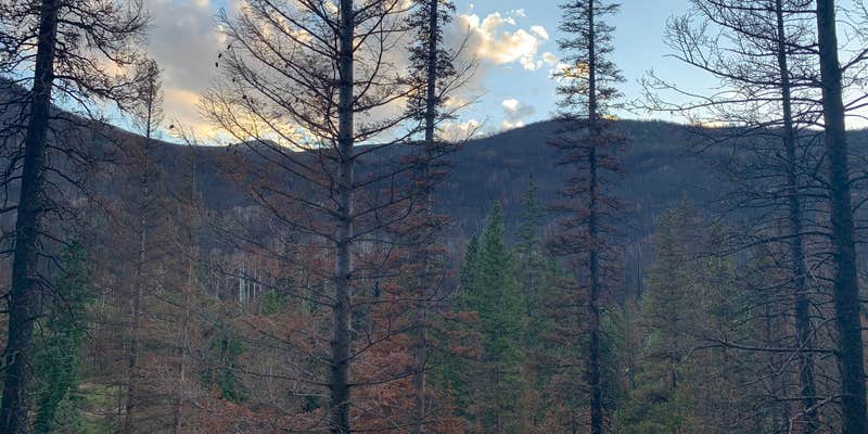 Camper submitted image from Laramie River Road Dispersed