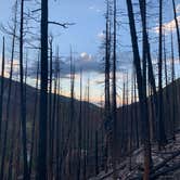 Review photo of Laramie River Road Dispersed by Molly U., July 19, 2021