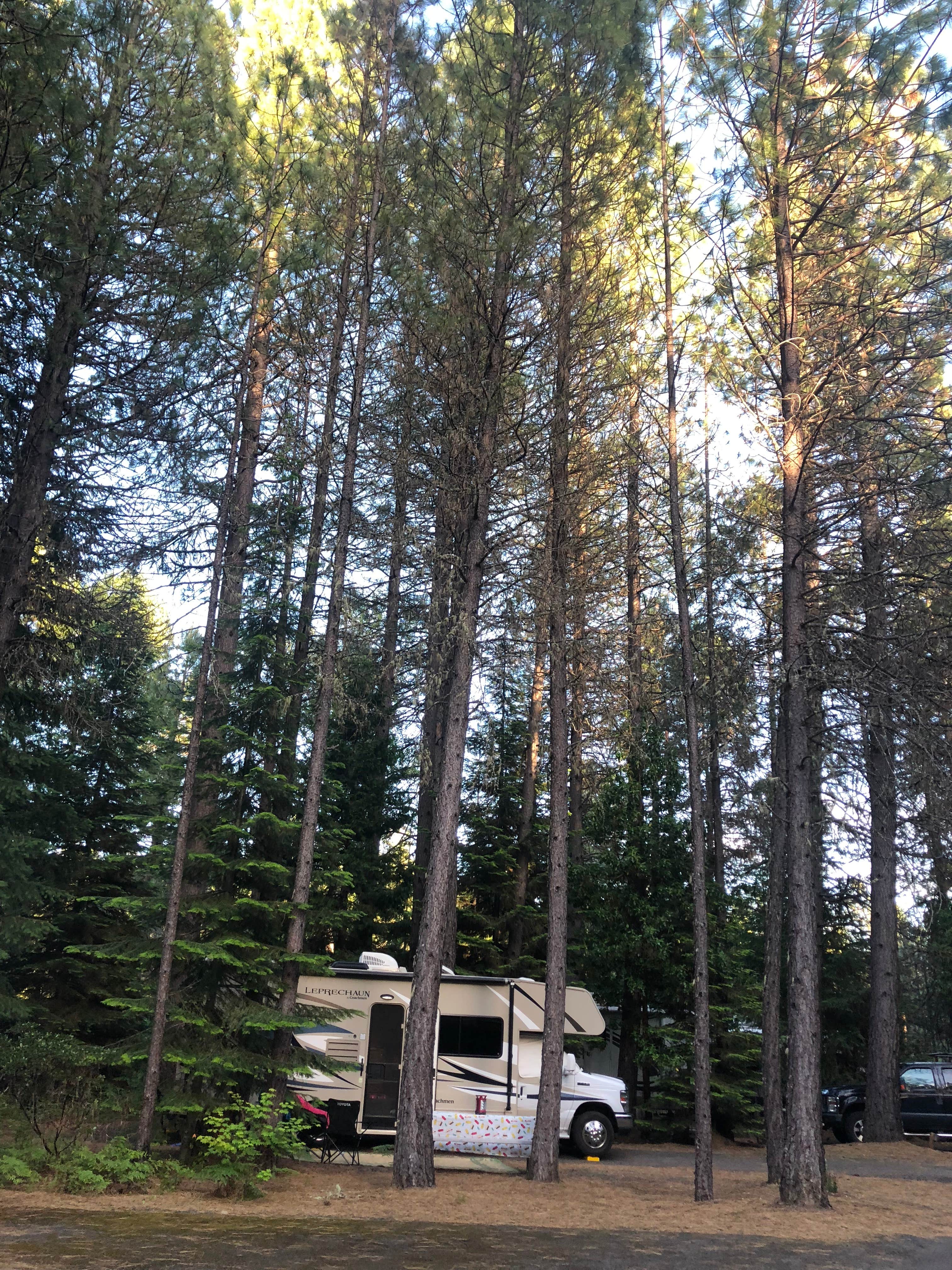 Camper submitted image from Crater Lake RV Park - 5