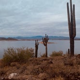 Review photo of Lake Pleasant Regional Park Campground by Kiley S., July 19, 2021