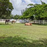 Review photo of Davie / Fort Lauderdale KOA by JEFFREY W., July 19, 2021