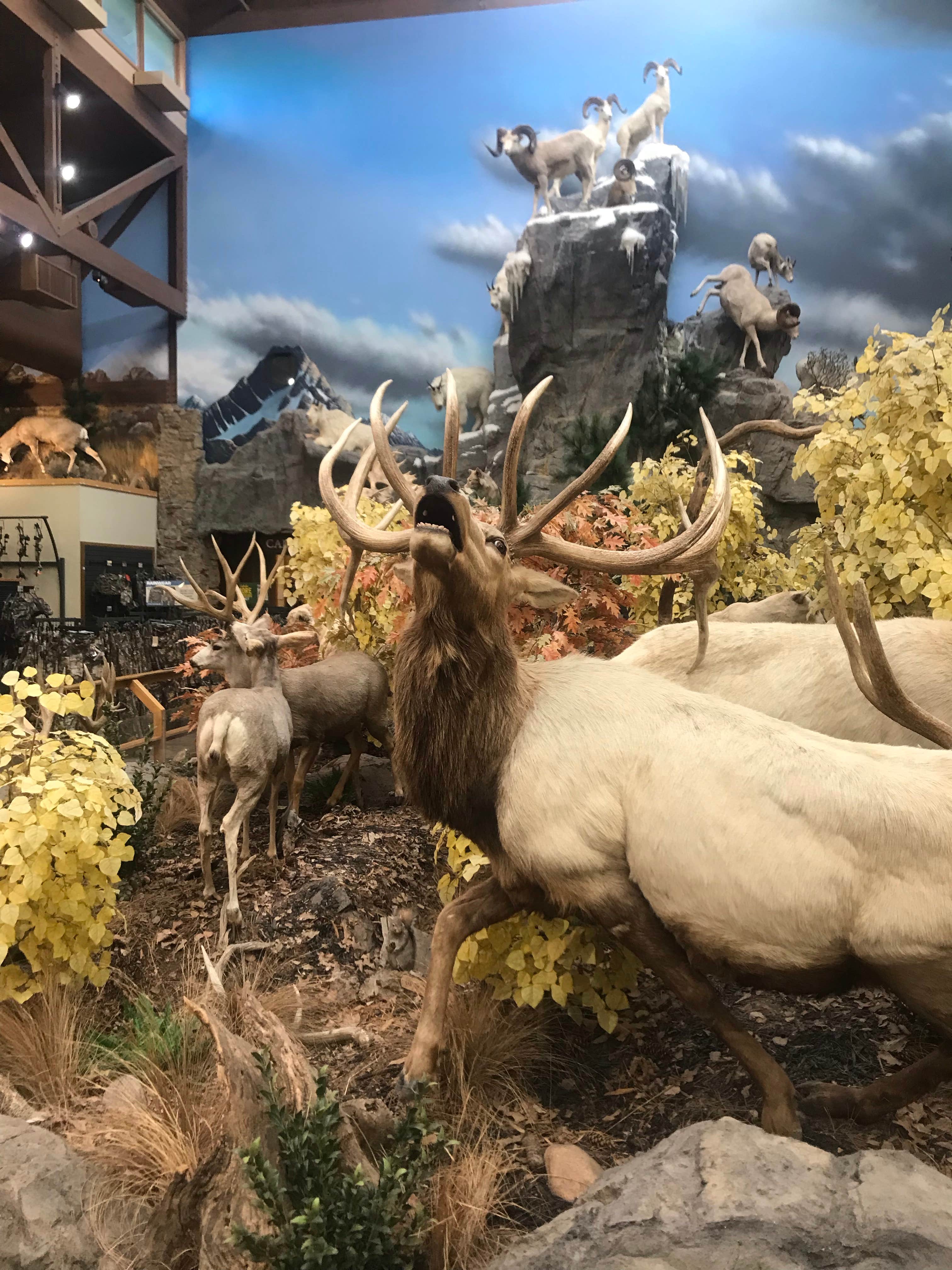 Camping near Kimball RV Park: Cabela's RV Park & Campground, Sidney, Nebraska