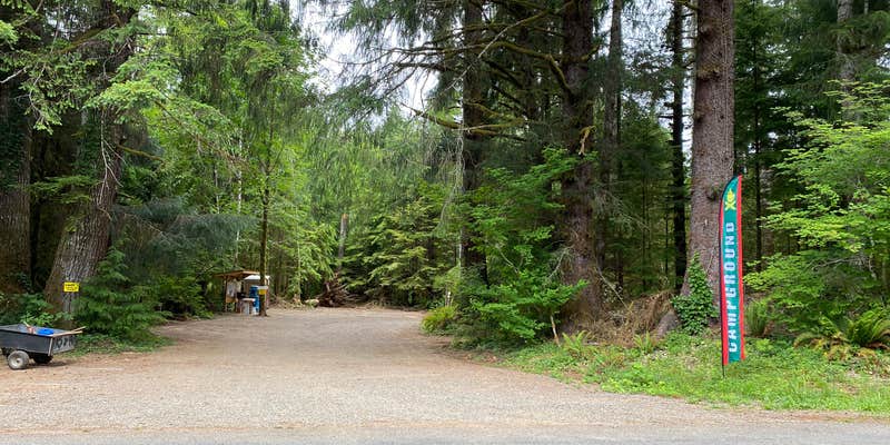 Camper submitted image from Dawleys Sol Duc River Campground