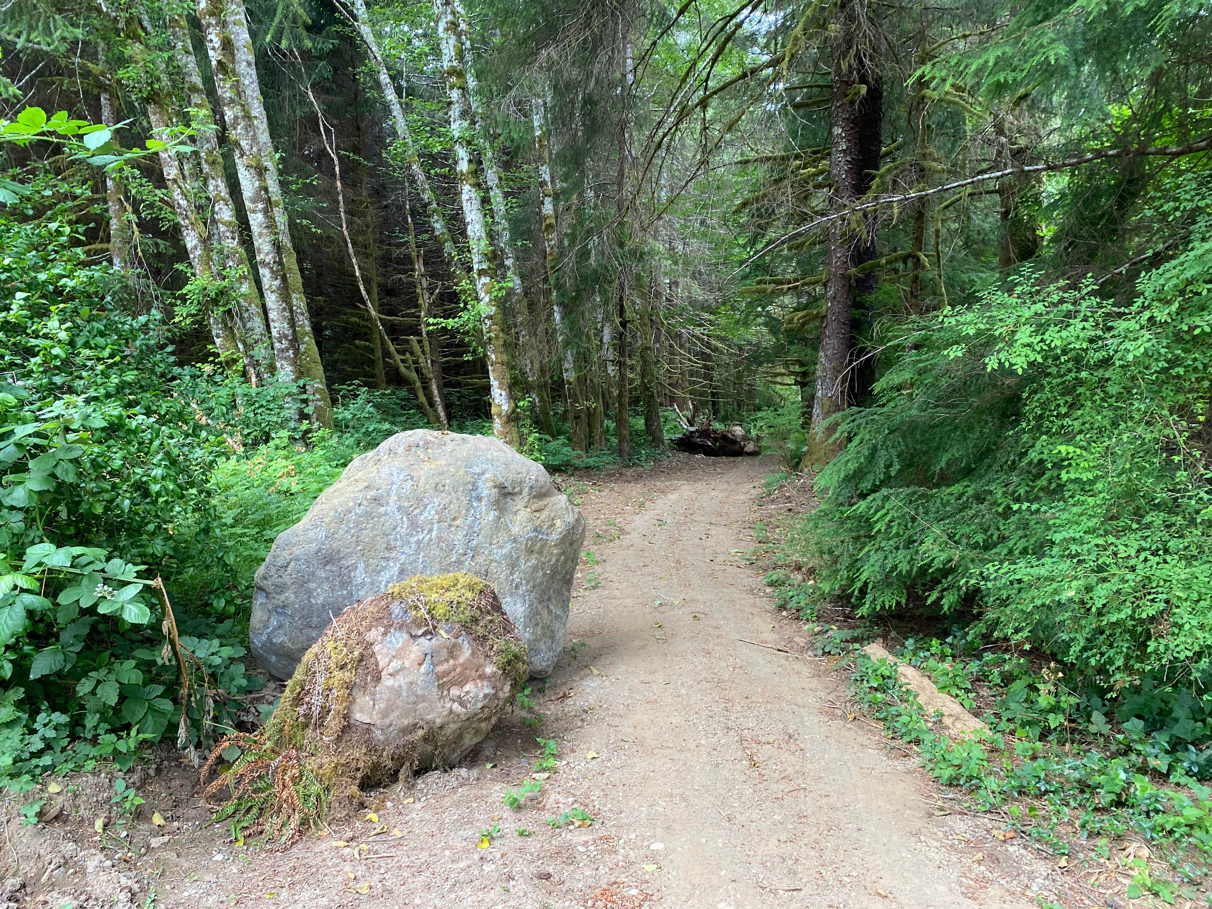 Camper submitted image from Dawleys Sol Duc River Campground - 3