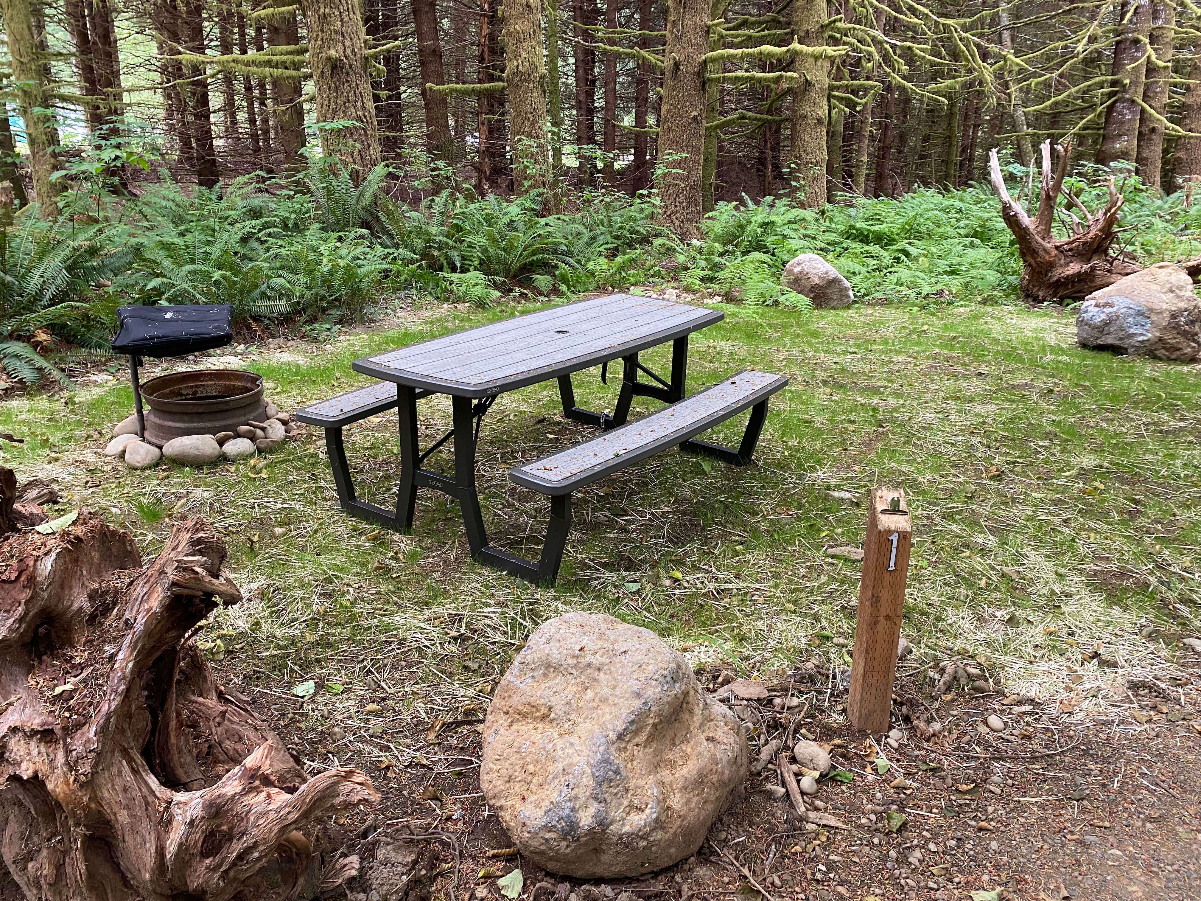 Camper submitted image from Dawleys Sol Duc River Campground - 4