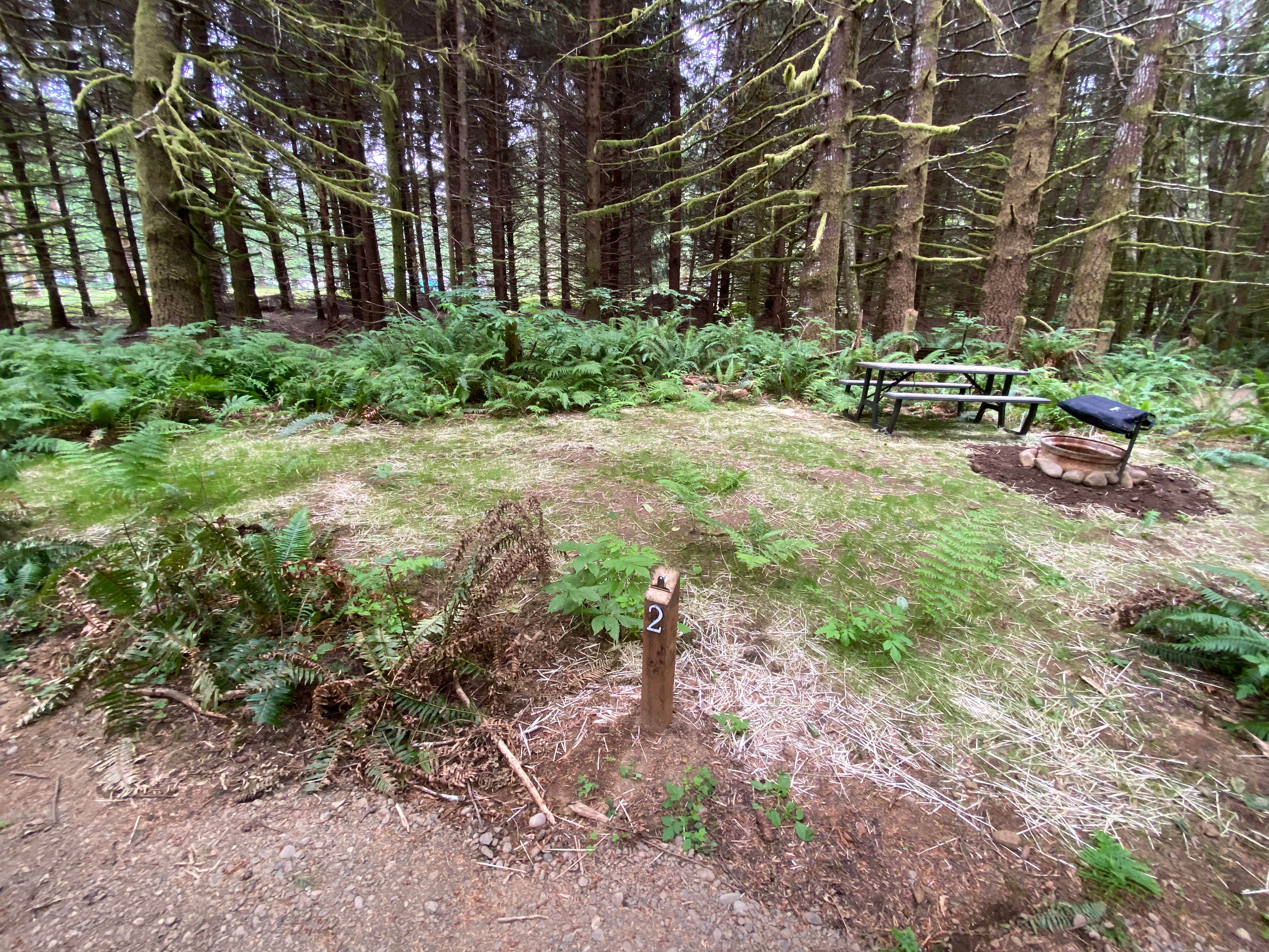 Camper-submitted photo at Dawleys Sol Duc River Campground near Forks, WA