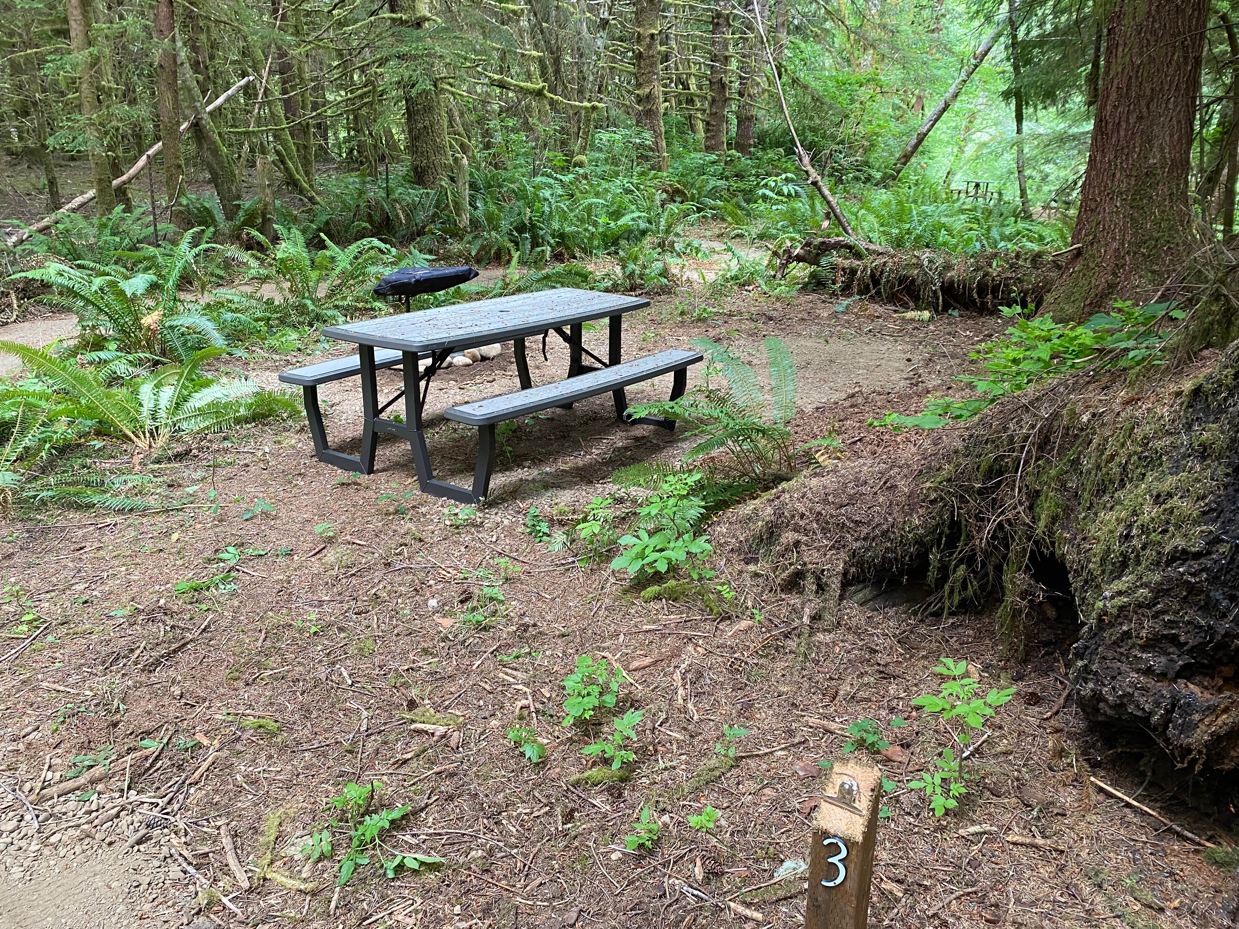 Camper-submitted photo at Dawleys Sol Duc River Campground near Forks, WA