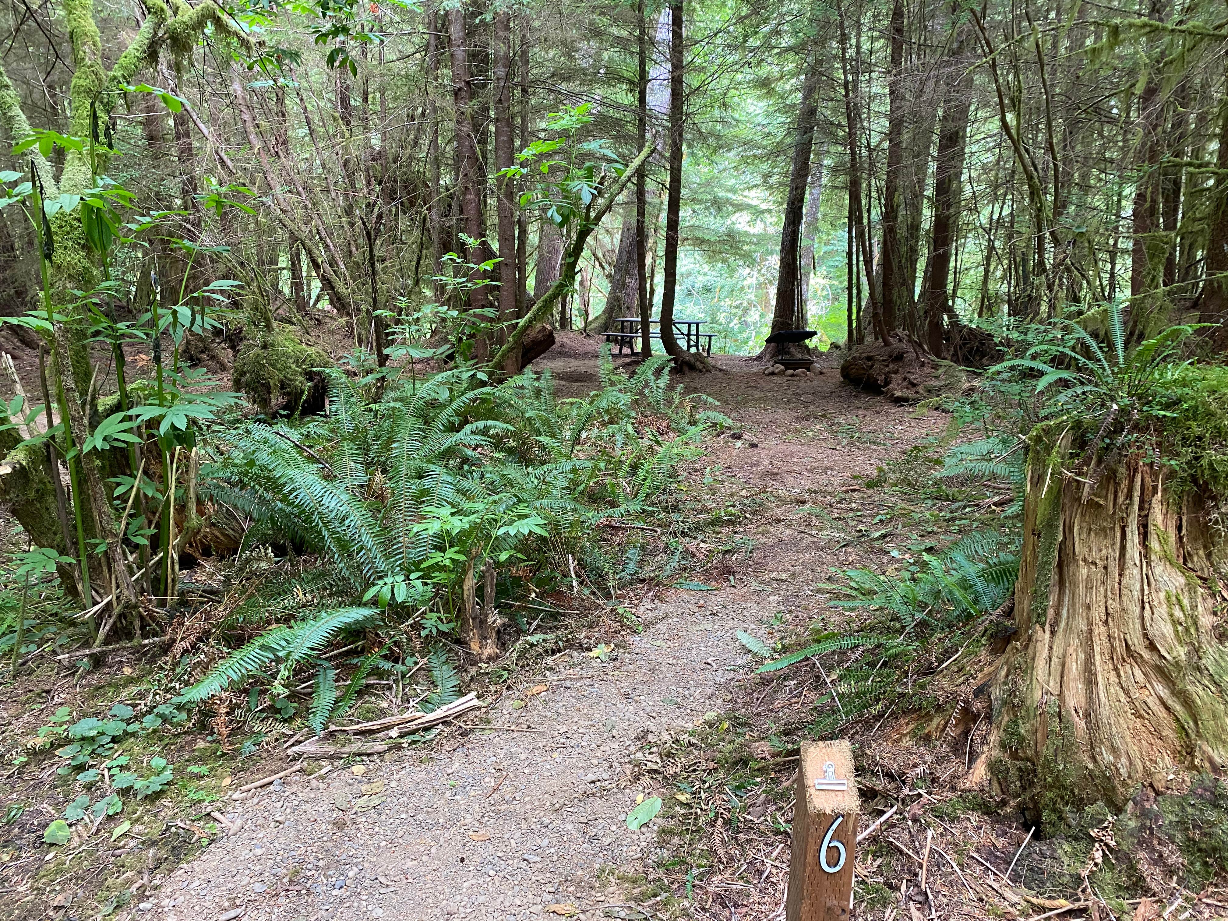 Camper submitted image from Dawleys Sol Duc River Campground - 5